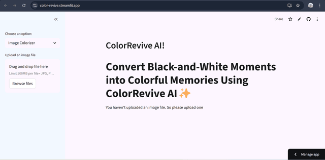 ColorRevive: Image & Video Colorization